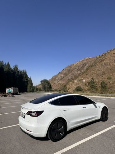 Tesla: Tesla Model 3: 2020 г., Электромобиль, Седан — 6