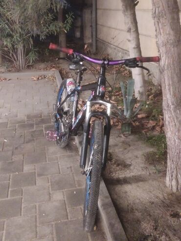 Şəhər velosipedləri: İşlənmiş Şəhər velosipedi Adidas, 26", sürətlərin sayı: 7, Ünvandan götürmə — 8