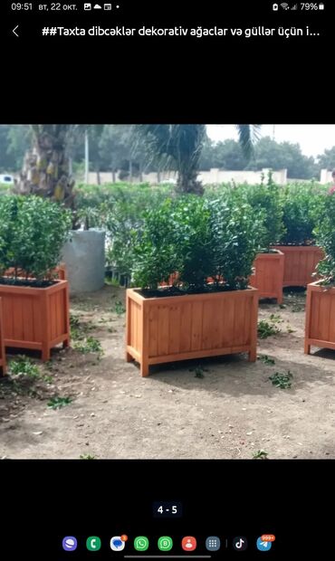 Bitkilər üçün dibçəklər: Dibçək Taxta dekorativ çiçək yeşikləri – bağ, terras, eyvan və — 9