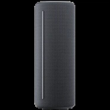 bežični mikrofon sa zvučnikom: Model: WE. HEAR 1 By Loewe Portable Speaker 40W, Storm Grey Cena