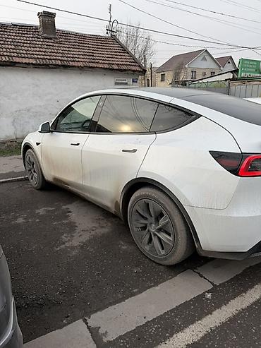 Tesla: Tesla Model Y: 2023 г., 2 л, Автомат, Электромобиль, Кроссовер — 4
