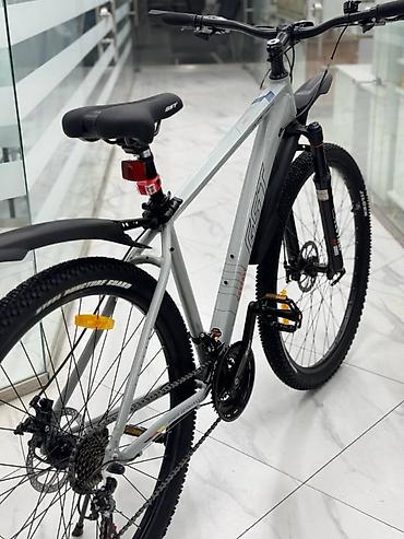 Городские велосипеды: Городской велосипед, Рама XL (180 - 195 см), Новый — 10