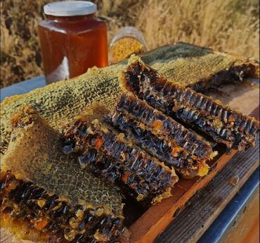 Bal: Arı Bal ana arı avadanlıqlarının satışı və sifarişlə catirilmasi — 2