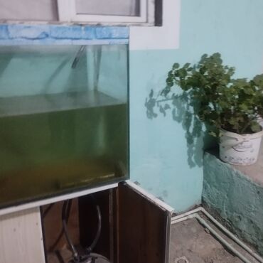 akvarium filter: Akvarium, Boş, 800 l, Ünvandan götürmə