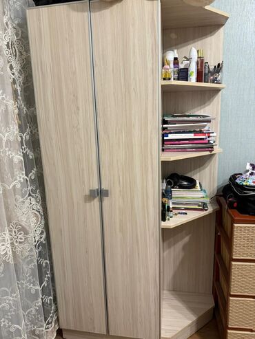 Dolablar: İşlənmiş, Açılan, 2 qapılı Düz dolab, Dəhliz dolabı