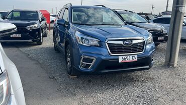 шевроле камаро цена: Subaru Forester: 2019 г., 2.5 л, Вариатор, Бензин
