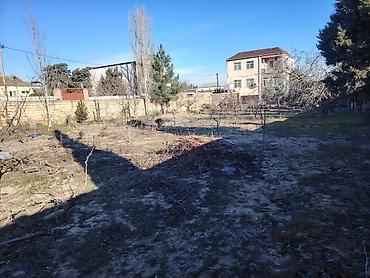 goredil: 15 sot, Tikinti, Maklerlər narahat etməsin, Kupça (Çıxarış) — 2