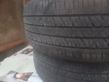 Шины: Шина Bridgestone R 20