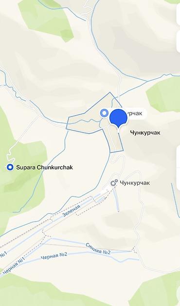 летние: 100 соток, Для бизнеса, Красная книга — 3
