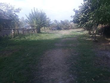 Torpaq sahələrinin satışı: 40 sot, Tikinti, Mülkiyyətçi, Kupça (Çıxarış) — 2