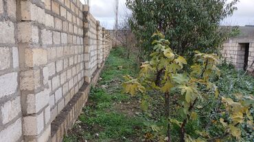 Torpaq sahələrinin satışı: 10 sot, Tikinti, Barter mümkündür, Kupça (Çıxarış) — 2