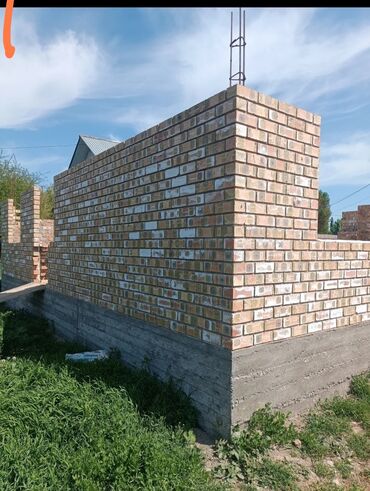 королевская пеларгония купить: Кирпич 12с доставка по городу бесплатно