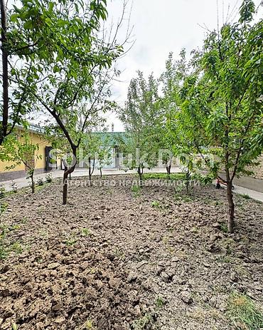 1: 🏠Продаётся дом с бизнесом в с. Сокулук, 800 м вверх от трассы — 6