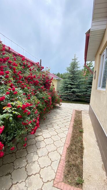 Иссык-Куль 2025: Коттедж, ЦО Евразия, Кара-Ой (Долинка), Парковка, стоянка, Бассейн, Теннисный корт at lalafo.kg — 18 Иссык-Куль 2025: Коттедж, ЦО Евразия, Кара-Ой (Долинка), Парковка, стоянка, Бассейн, Теннисный корт — 18