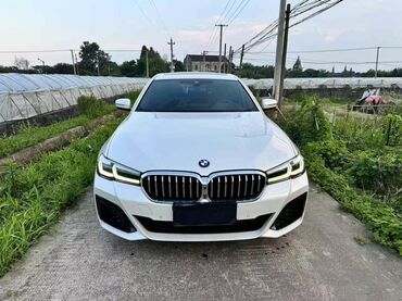 зарядное устройство для электромобиля: BMW 530: 2020 г., 3 л, Автомат, Бензин, Седан