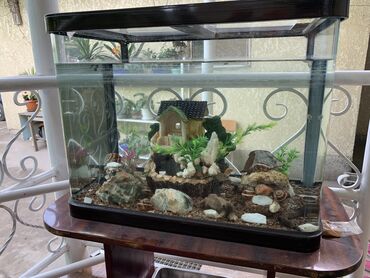 аквариум для рыб: Продаю аквариум на 80-90л. В хорошем состоянии (без крышки) . Со