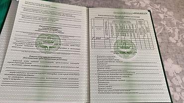 работа бишкек склад: 4 соток, Бизнес үчүн, Сатып алуу-сатуу келишими — 3