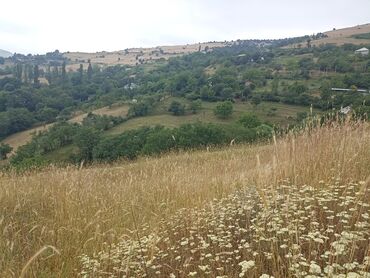 Bağ evlərinin satışı: Yardımlı, 120 kv. m, 4 otaqlı, Hovuzsuz, Qaz, İşıq -da lalafo.az — 11 Bağ evlərinin satışı: Yardımlı, 120 kv. m, 4 otaqlı, Hovuzsuz, Qaz, İşıq — 11