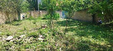ismayıllıda satılan torpaq: Tikinti, Mülkiyyətçi, Kupça (Çıxarış) — 9
