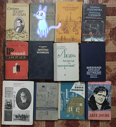 скаты: ЖЗЛ Продаю книги по истории, биографии известных людей, америки — 6