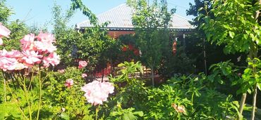 Günlük kirayə evlər: 90 kv. m, 4 otaqlı — 16