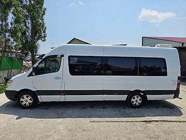 Mercedes-Benz: Mercedes-Benz Спринтер: 2007 г., Бус — 7