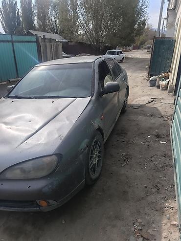 bmw e39 m5: Nissan Primera: 2000 г. — 2