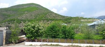 аренда дач на лето: 200 kv. m, 4 otaqlı, Hovuzsuz, Kombi, Qaz, İşıq