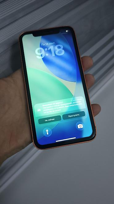 aiphone xr: IPhone 11, Б/у, 64 ГБ, Оранжевый, Защитное стекло, 77 % — 2