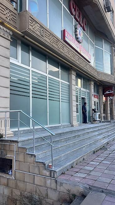 master school: Şüşə səthlər üçün buz vinil Məhsul/xidmət: - Ofis, mağaza vitrinləri — 2