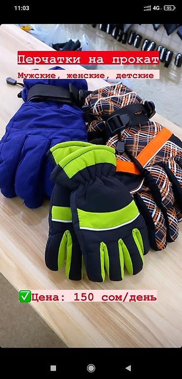 Лыжи: Лыжный прокат Ski Park, у нас есть абсолютно всё для горного катания — 5