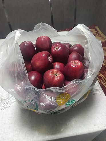 превосходный сорт яблок: Яблоки Крипсон, Оптом, В розницу — 2