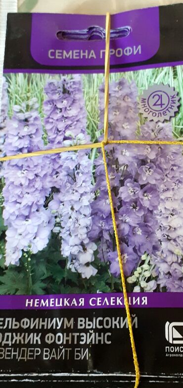 Другие книги и журналы: Продается семена дельфиниумов и катарантусов — 17