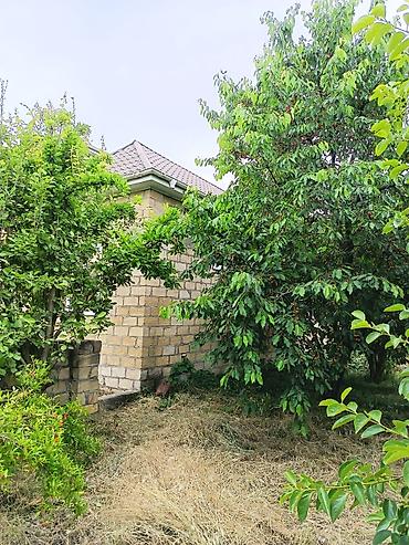 kampaniyada olan evler: 5 otaqlı, 170 kv. m, Kredit var, Yeni təmirli — 8