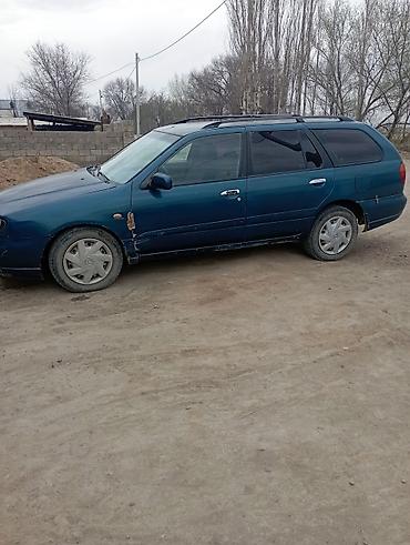 Nissan: Nissan Primera: 2001 г., Универсал — 4
