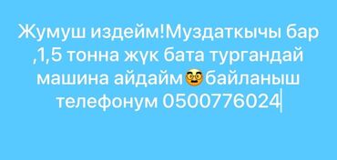 арча бешик 1: Жүк ташуучу транспорт айдоочулары