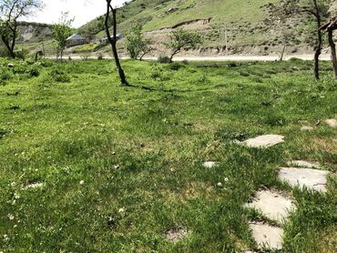 Torpaq sahələrinin satışı: 30 sot, Kənd təsərrüfatı, Mülkiyyətçi, Kupça (Çıxarış) -da lalafo.az — 21 Torpaq sahələrinin satışı: 30 sot, Kənd təsərrüfatı, Mülkiyyətçi, Kupça (Çıxarış) — 21