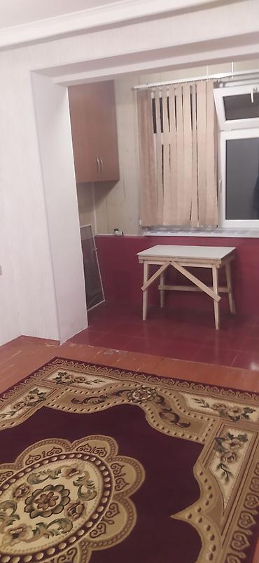 savalanda kiraye ev: 1 otaqlı studio tipli mənzil (şəkillərdə göstərilən) - Açıq mətbəxli — 3
