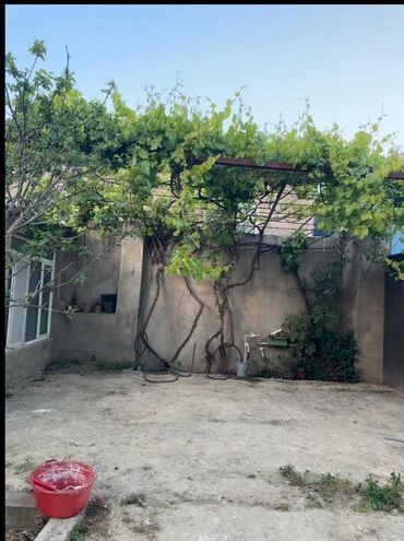 Həyət evləri və villaların satışı: 100 kv. m, 3 otaqlı, Kombi, Qaz, İşıq