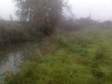 Torpaq sahələrinin satışı: 400 sot, Kənd təsərrüfatı, Maklerlər narahat etməsin — 14