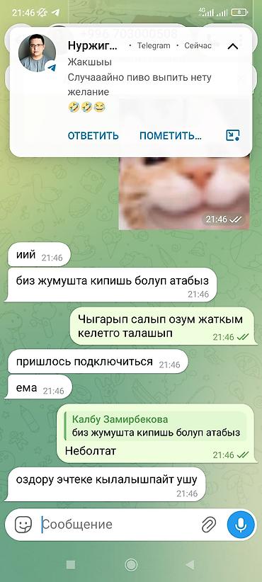 Чатырлар жана үйлөр: Детская игровая палатка-домик с москитной сеткой - Тип: компактный — 5