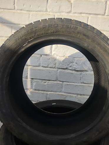 снего держатель: Зимние шины Maxxis Winter Pro TS2 (WP-05), комплект 4 шт. - Размер — 2
