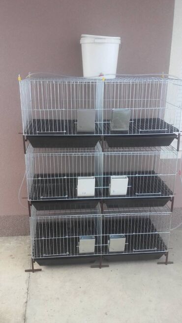 Domaće životinje: Prodaja pocinkovanih kaveza za koke, pilice i zeceve u kompletu sa — 4