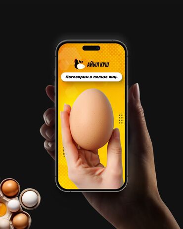 IT, компьютеры, связь: Полная упаковка аккаунта в инстаграм Логотип Создание визуала at lalafo.kg — 9 IT, компьютеры, связь: Полная упаковка аккаунта в инстаграм Логотип Создание визуала — 9