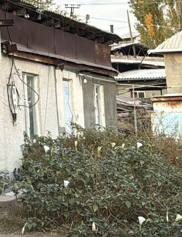 сдаю дом в ак орго: 30 м², 2 комнаты, Подвал, погреб, Забор, огорожен