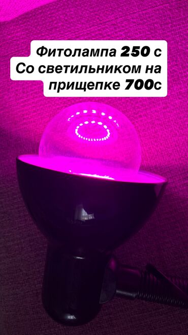 карабалта шифонер: В продаже Фитолампы б/ у горшки и многое другое в отличном