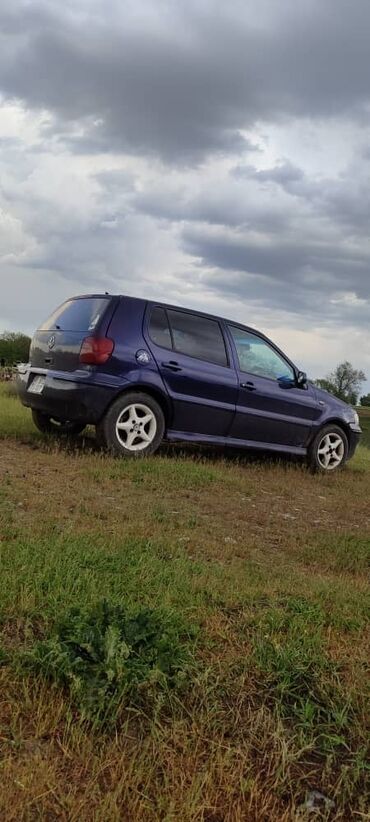 поло 2013: Volkswagen Polo: 2000 г., 1.4 л, Автомат, Бензин, Хэтчбэк