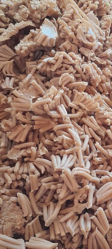 Средства для стирки: Хозяйственное мыло и мыльные стружки оптом Есть много видов сырье — 1