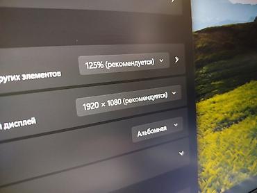 Ноутбуки HP: Для учебы, Новый — 12