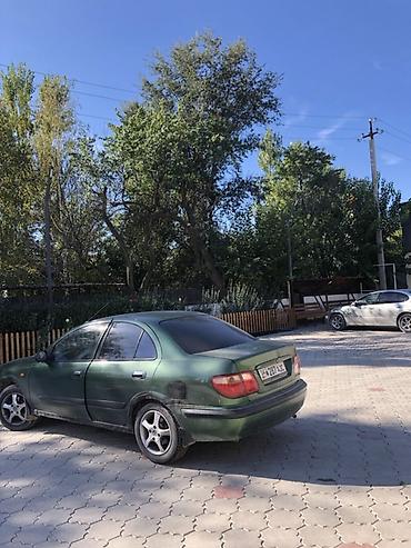 ниссан примера 1998: Nissan Primera: 2001 г., 1.8 л, Автомат, Бензин, Седан — 2